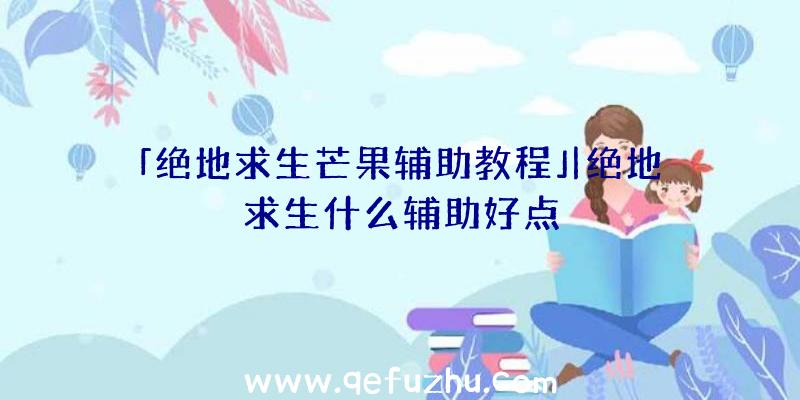 「绝地求生芒果辅助教程」|绝地求生什么辅助好点